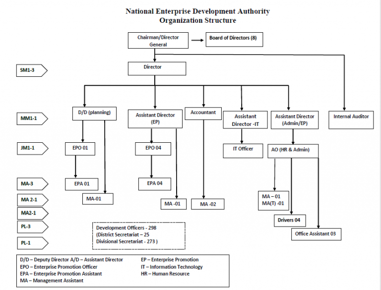 Organizational Hierarchy – National Enterprise Development Authority